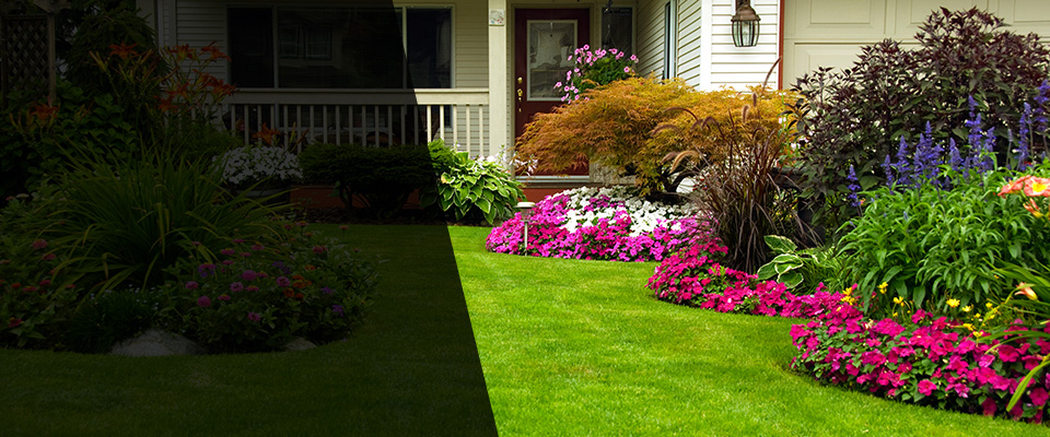 Wells Landscapers