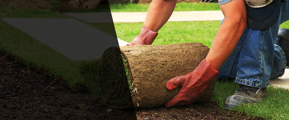 Wells Landscapers